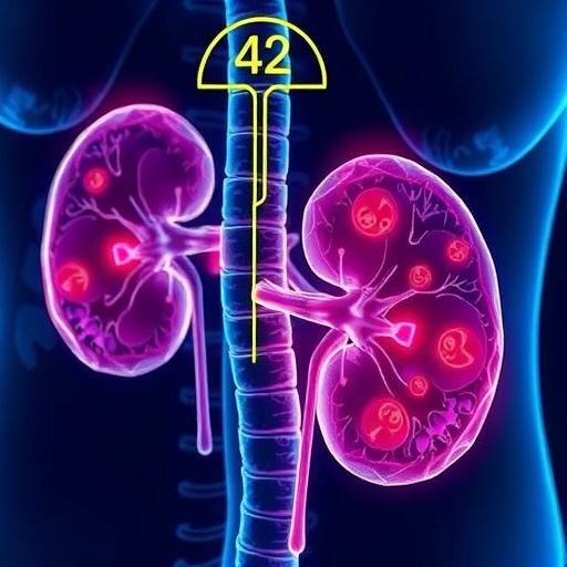 sodium-overload-drives-kidney-disease-via-necrosis