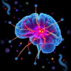 tumor-targeted-nanoparticles-boost-glioblastoma-immunotherapy