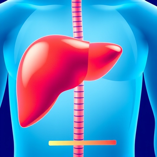 new-1-3-year-liver-cancer-survival-models-developed