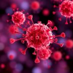 cx3cr1-networks-unlock-precision-therapy-in-sepsis
