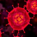 cbp/p300-vital-for-pancreatic-α-cell-growth