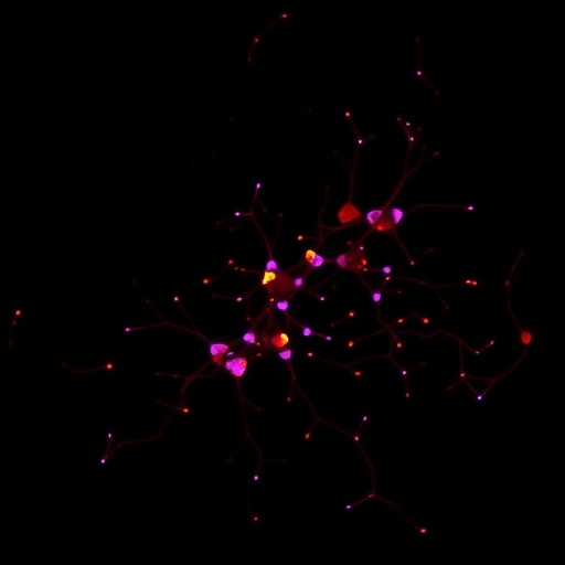 epigenetic-markers-predict-cervical-lesion-progression