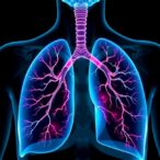 zinc-finger-514-halts-lung-cancer,-boosts-chemotherapy