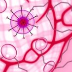 fat-cell-microrna-30a-3p-worsens-liver-fat