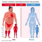 distinct-heart,-metabolic,-and-inflammatory-risk-profiles-found-in-men-and-women-with-obesity