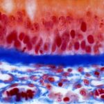 beyond-the-hype:-turning-nams-into-actionable-evidence