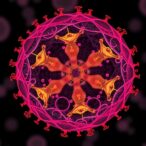 acetate-drives-bacteria’s-butyrate-or-medium-chain-output