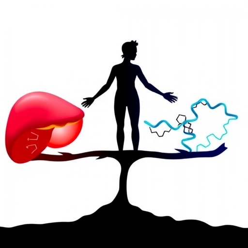 balancing-nr1d1-and-klf2-drives-liver-regeneration