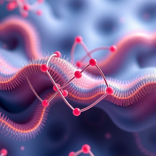 quantum-fluctuations-unveil-a-novel-topological-semimetal