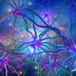 salk-to-lead-$41.3m-arpa-h-effort-to-advance-sonogenetics-therapies