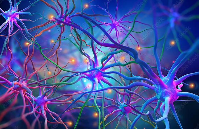 salk-to-lead-$41.3m-arpa-h-effort-to-advance-sonogenetics-therapies