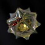 potent-acridone-targets-all-malaria-parasite-stages