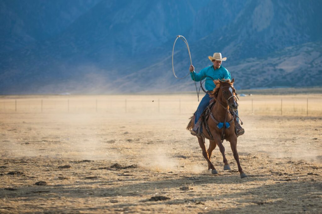 lilly-makes-preclinical-adc-specialist-crossbridge-its-latest-acquisition-in-vague-$300m-deal