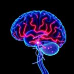 white-matter-pathways-boosting-dorsolateral-tms-therapy