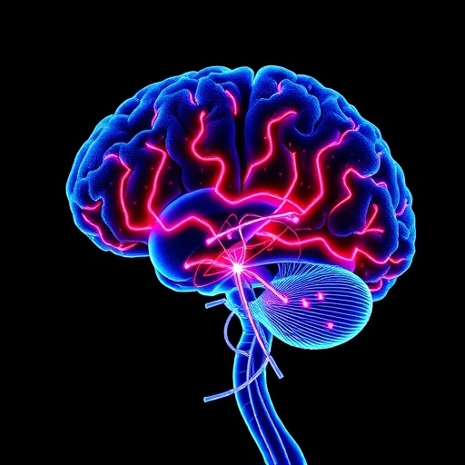 white-matter-pathways-boosting-dorsolateral-tms-therapy