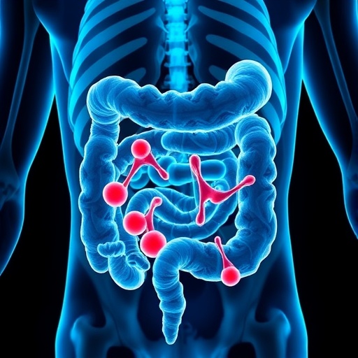 new-biomarker-identified-to-predict-immunotherapy-success-in-colon-and-rectal-cancer-patients
