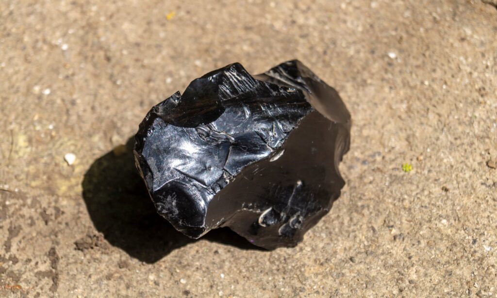 cell-therapy-biotech-obsidian-leverages-galera-reverse-merger-to-go-public