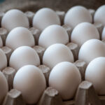 from-colossal-to-chickens:-the-scientists-behind-neion-bio’s-biologics-platform