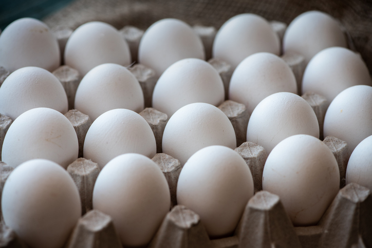 from-colossal-to-chickens:-the-scientists-behind-neion-bio’s-biologics-platform