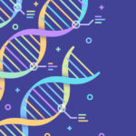 engineered-miniature-crispr-boosts-gene‑editing-efficiency-in-human-cells