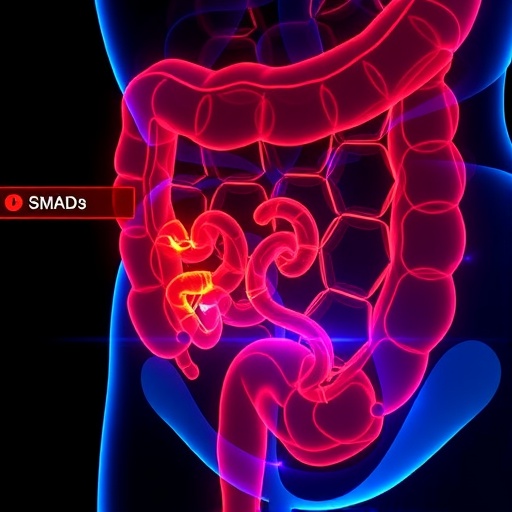 notch-signaling-drives-colorectal-cancer-metastasis-via-smads