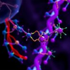 slc1a5-shields-vessels-via-glutamine-epigenetic-control