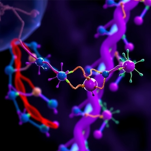 slc1a5-shields-vessels-via-glutamine-epigenetic-control