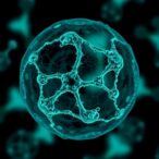 targeted-mitochondrial-transplants-reverse-cell-degeneration