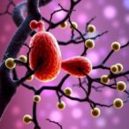 organic-pollutants-linked-to-pancreatic-beta-cell-dysfunction