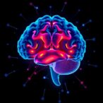 neural-drivers-behind-maternal-aggression-fluctuations