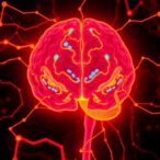 dual-xct-and-ggct-blockade-triggers-glioblastoma-ferroptosis