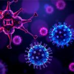 decoding-hbx–smc6-interaction:-advancing-hbv-inhibition