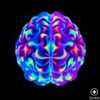 brainwide-blood-volume-reveals-opposing-neural-activity