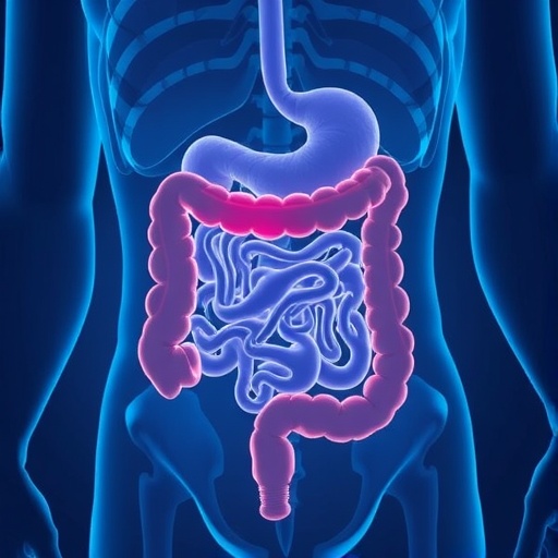 sleep-deprivation-alters-gut-microbiota,-aggravating-colorectal-cancer-progression
