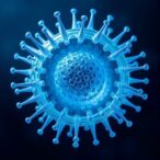 mit-study-uncovers-novel-function-of-cell-membranes