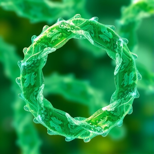 paired-enzymes-drive-moldable-ring-cyclization-cascades