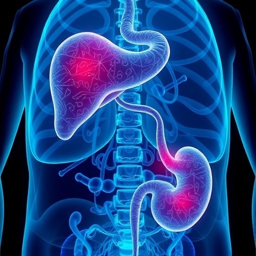 nat10-drives-gallbladder-cancer-via-cholesterol-metabolism