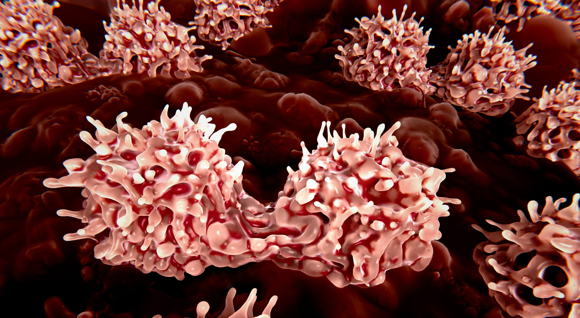 stem-cell-editing-programs-the-immune-system-to-make-own-therapeutic-proteins