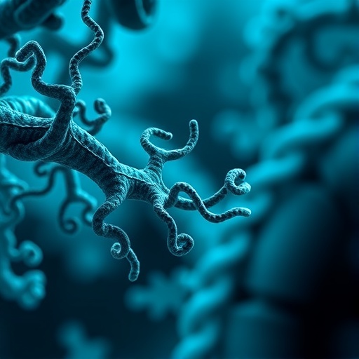 lipid-anchored-melanotransferrin-enables-iron-uptake