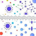 beyond-scn1a:-exploring-dravet-syndrome’s-genetic-diversity