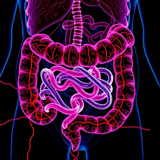 gut-microbe-enhances-immunotherapy-for-colorectal-cancer