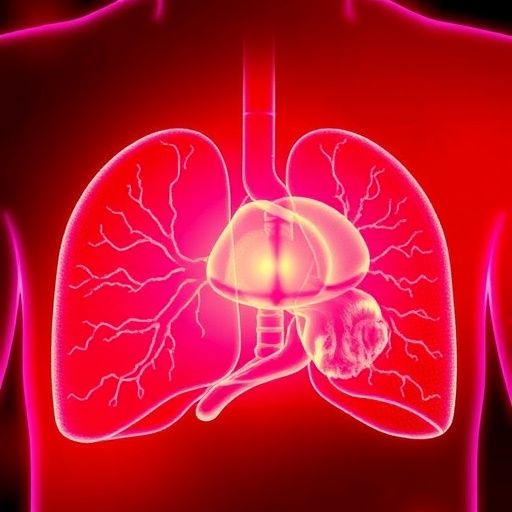 stopping-cirrhosis:-the-key-to-cutting-liver-cancer-fatalities