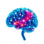 episodic-memory-network-breakdown-in-alzheimer’s-disease