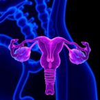 new-parp-inhibitor-resistance-mechanisms-found-in-ovarian-cancer