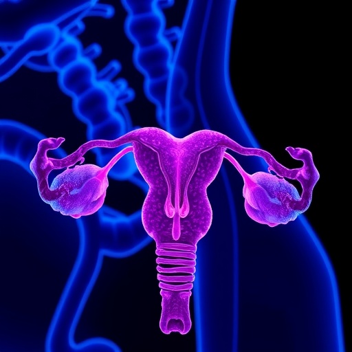 new-parp-inhibitor-resistance-mechanisms-found-in-ovarian-cancer