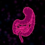 gut-bacteria-predict-skin-cancer-recurrence-only-when-matched-by-microbial-fingerprint