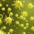 wastewater-detects-drug-resistant-candidozyma-auris-emergence