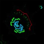 silencing-mettl16-prevents-ferroptosis-in-ovarian-cells