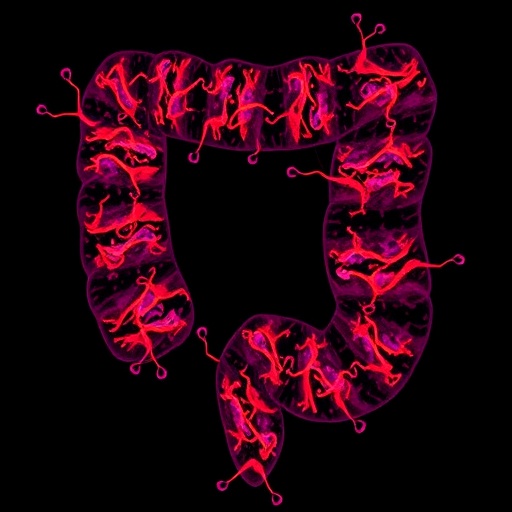 jak1-inhibitors-fight-colitis-via-nlrp3-blockade