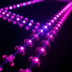 self-assembling-luminophores-create-nanotubes-enabling-multidirectional-exciton-transport